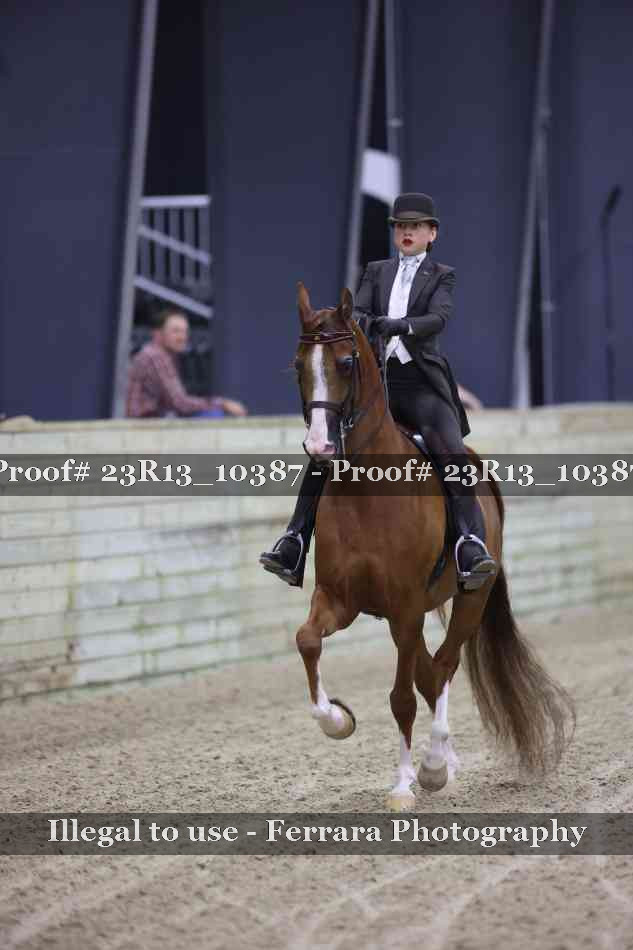 Proof 23R13_10387