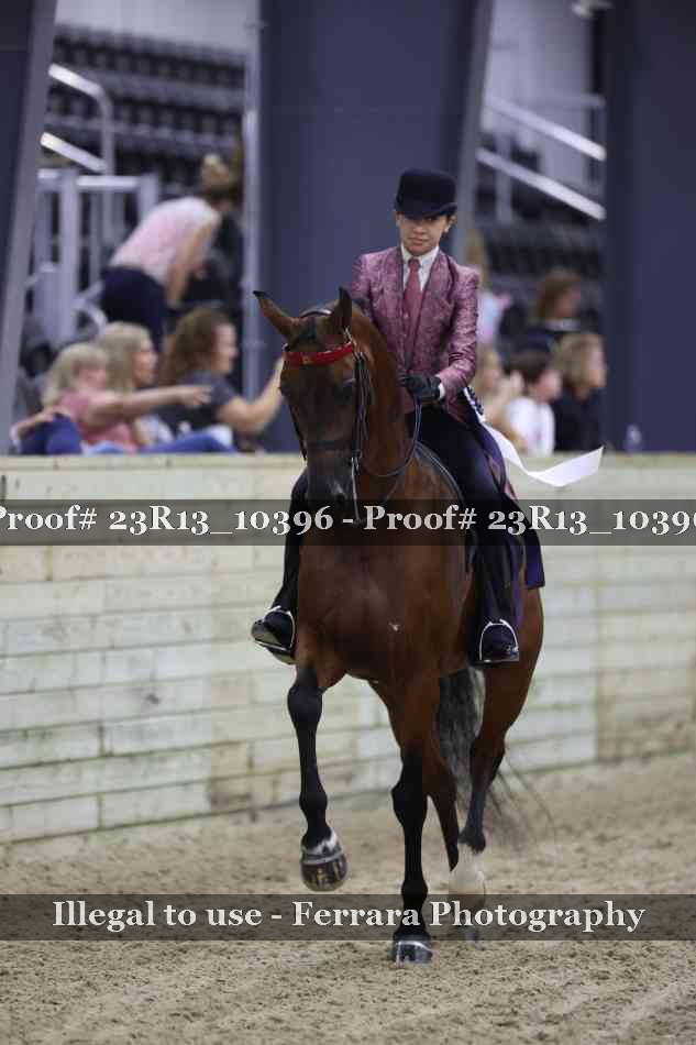 Proof 23R13_10396