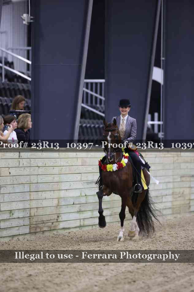 Proof 23R13_10397