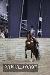 23R13_10397 proof
