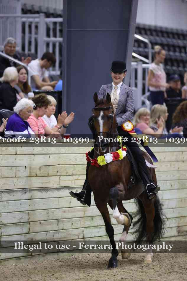 Proof 23R13_10399