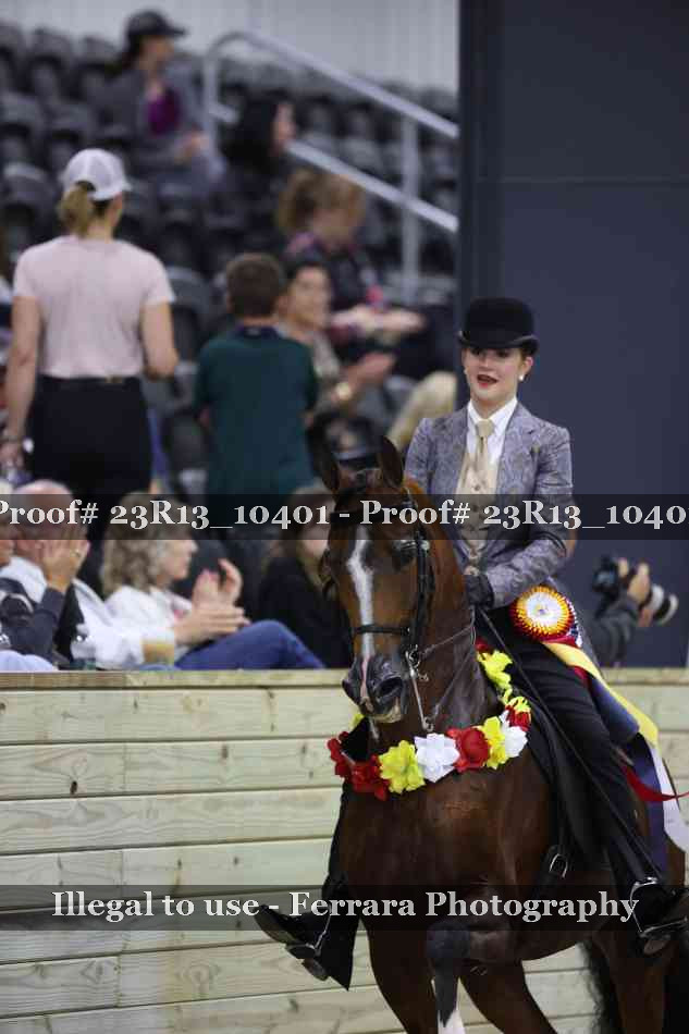 Proof 23R13_10401
