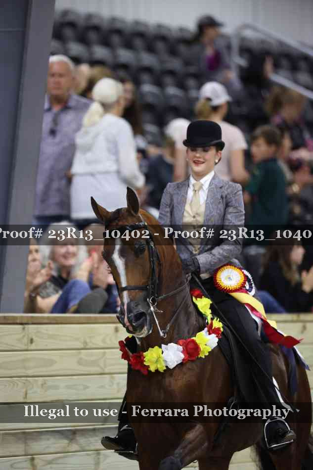 Proof 23R13_10402