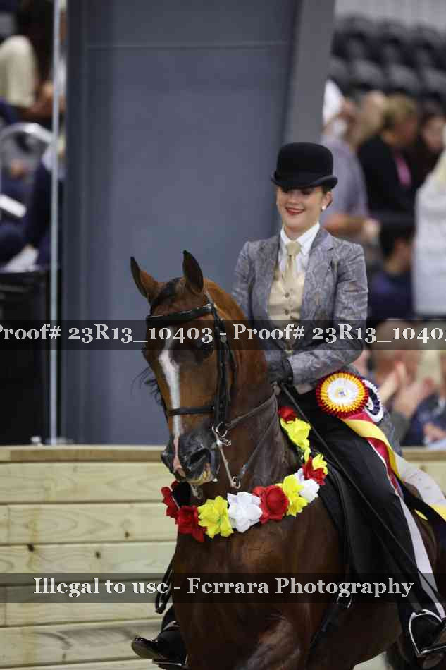 Proof 23R13_10403