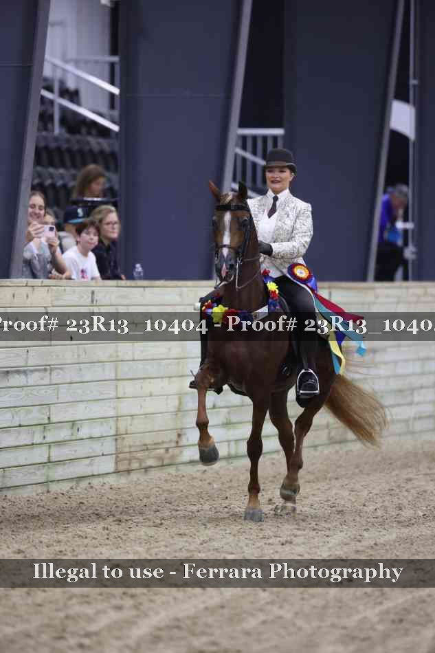 Proof 23R13_10404