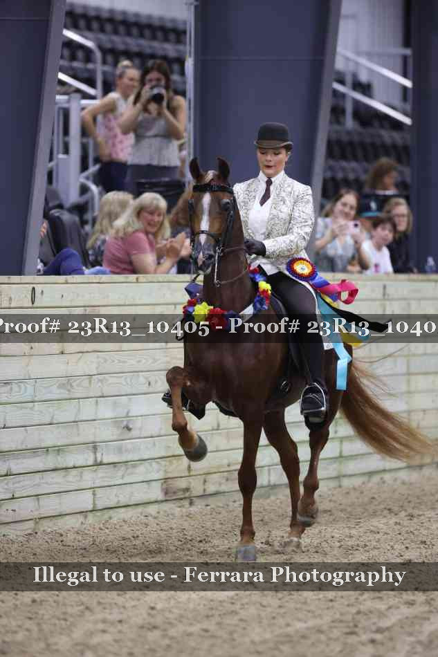 Proof 23R13_10405