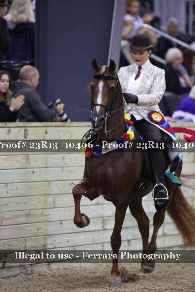 Proof 23R13_10406