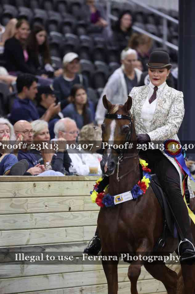 Proof 23R13_10407