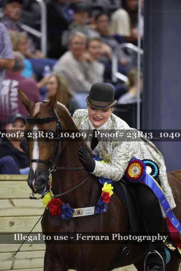 Proof 23R13_10409