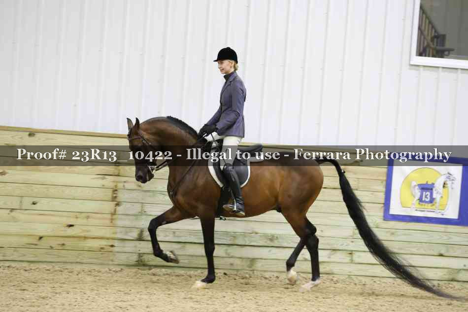 Proof 23R13_10422