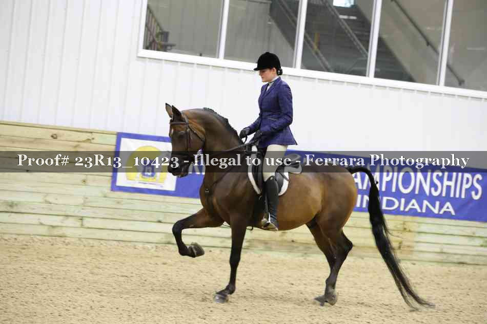 Proof 23R13_10423