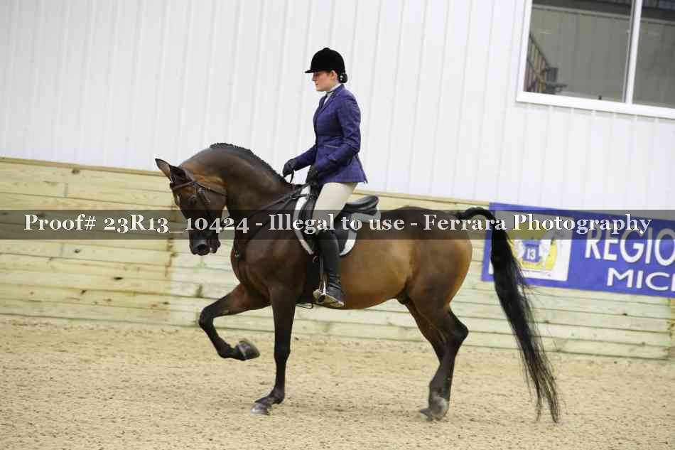Proof 23R13_10424