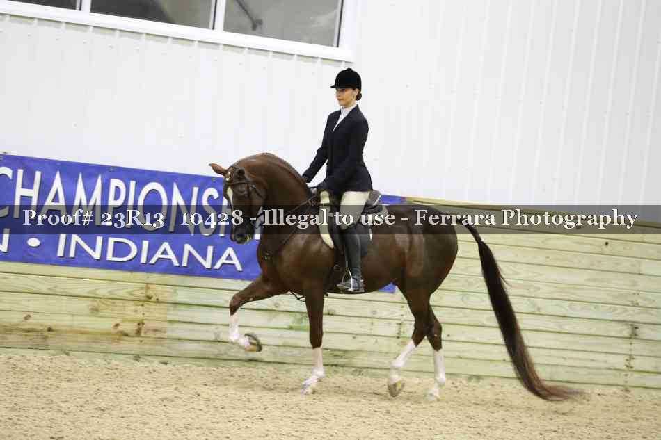 Proof 23R13_10428