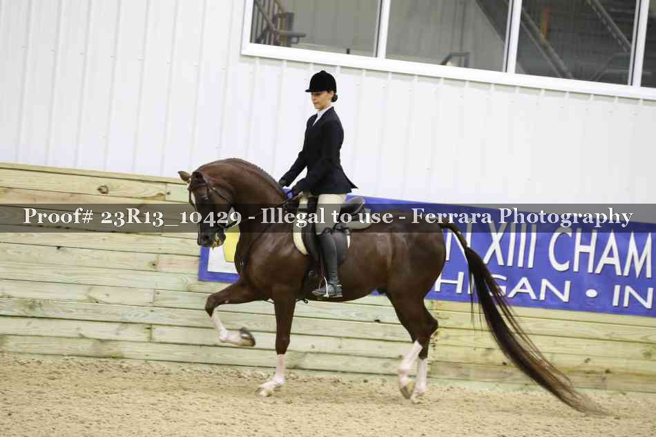 Proof 23R13_10429