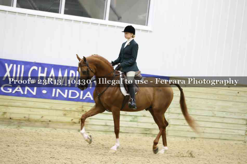 Proof 23R13_10430