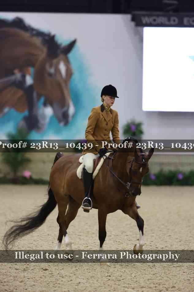 Proof 23R13_10439