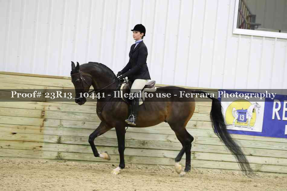 Proof 23R13_10441