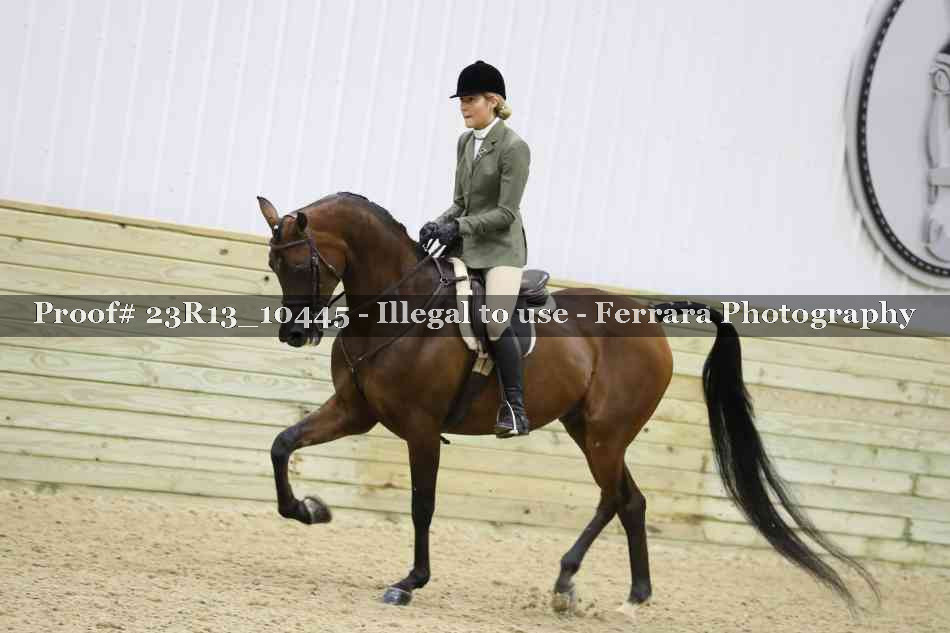 Proof 23R13_10445