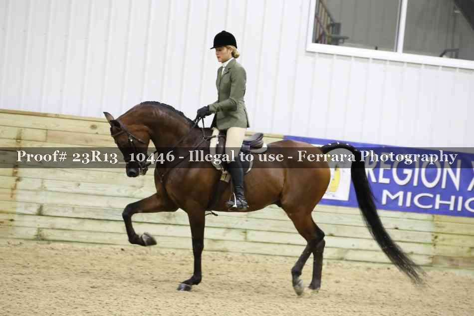 Proof 23R13_10446
