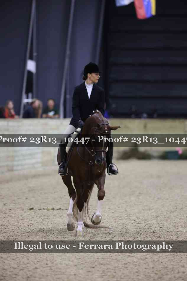 Proof 23R13_10447