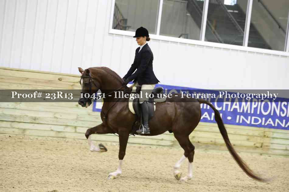 Proof 23R13_10451