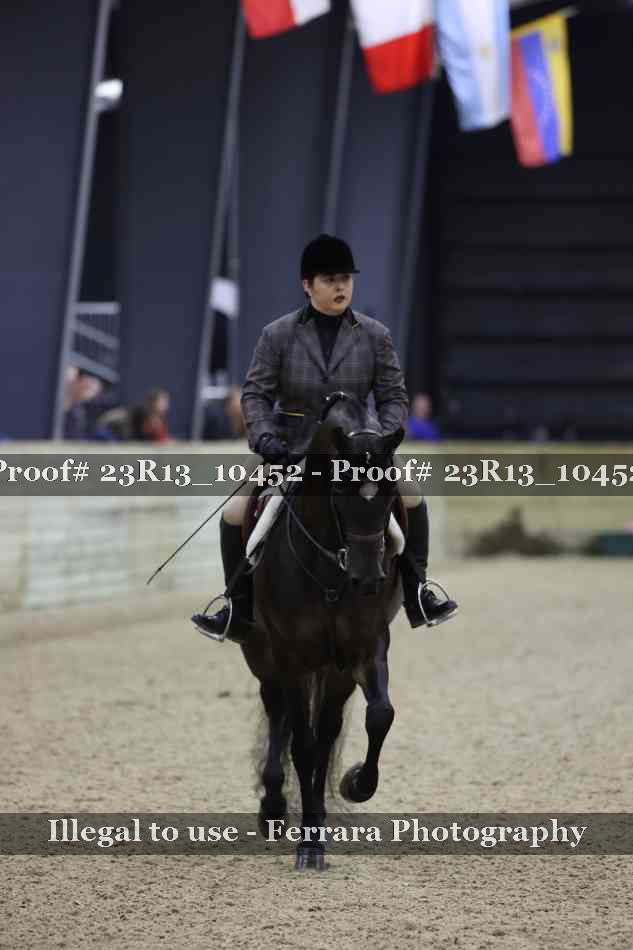 Proof 23R13_10452