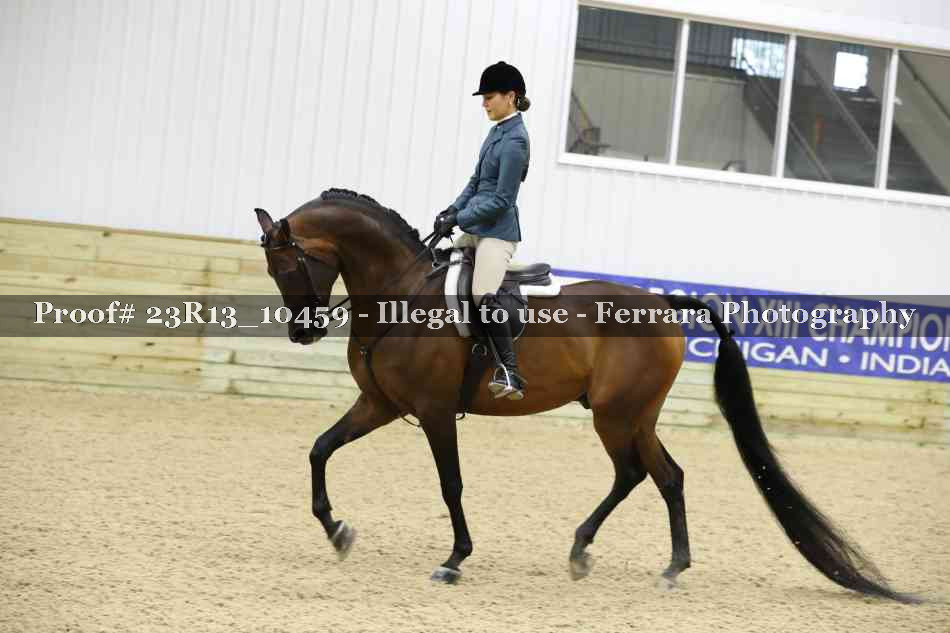 Proof 23R13_10459