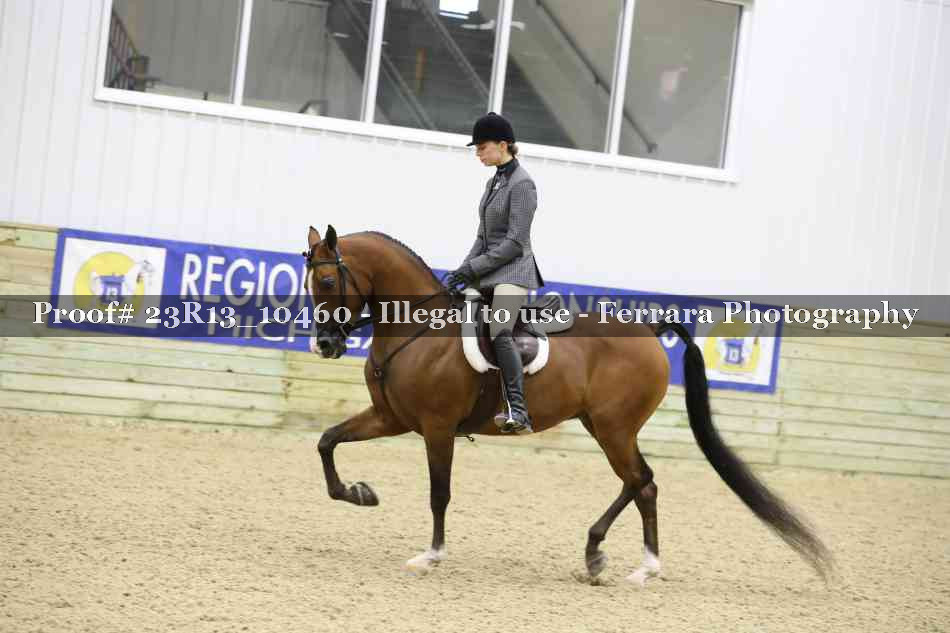 Proof 23R13_10460