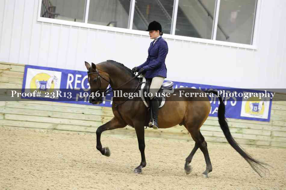 Proof 23R13_10461