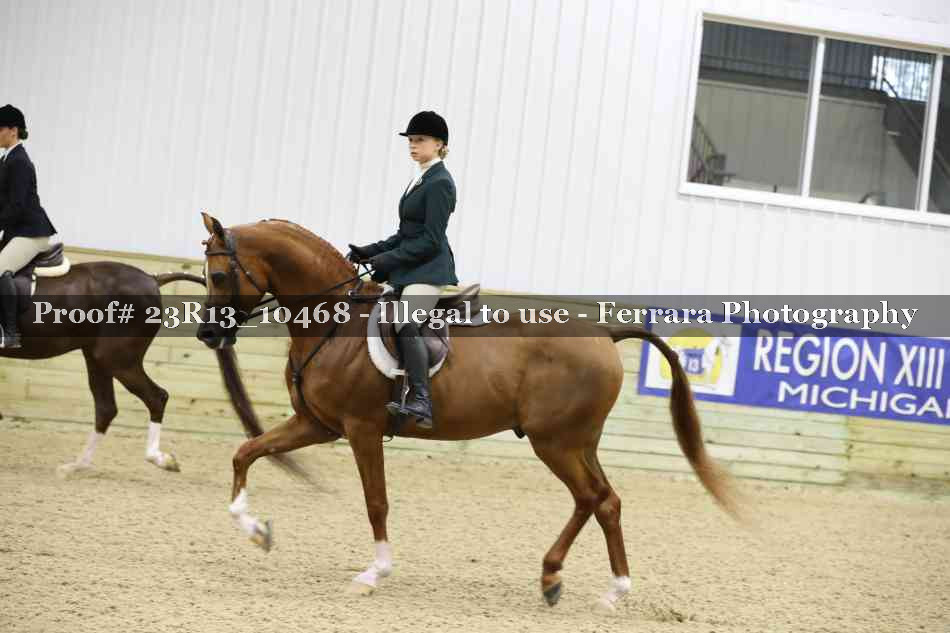 Proof 23R13_10468