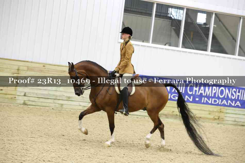Proof 23R13_10469