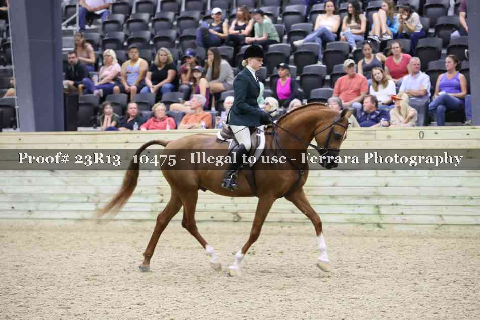 Proof 23R13_10475
