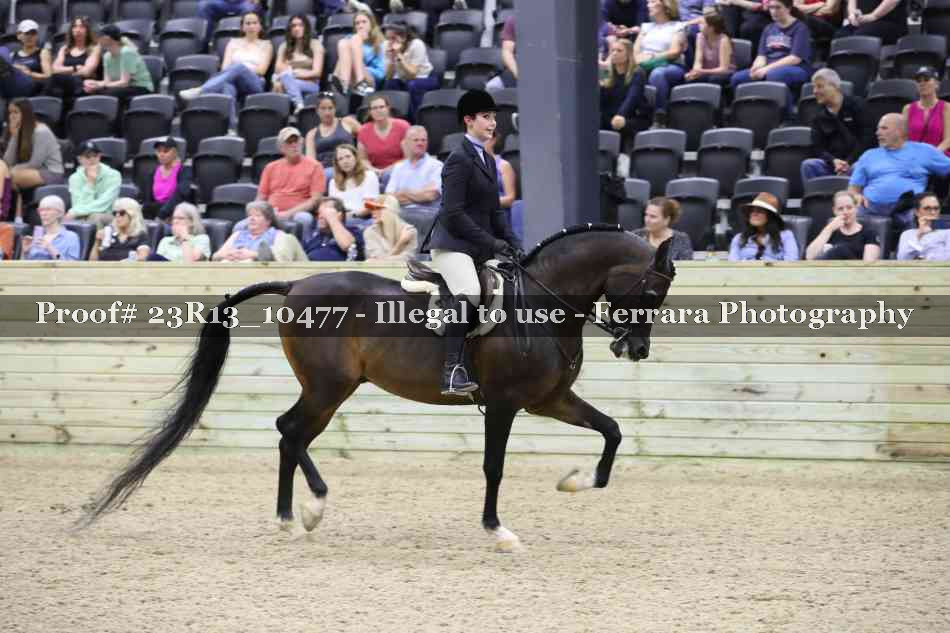 Proof 23R13_10477