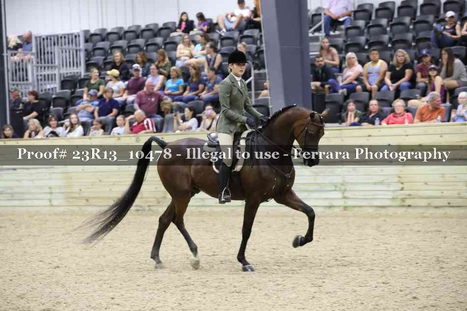 Proof 23R13_10478