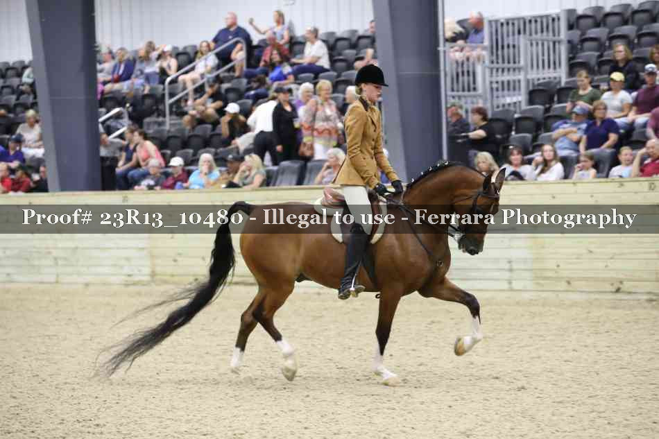 Proof 23R13_10480