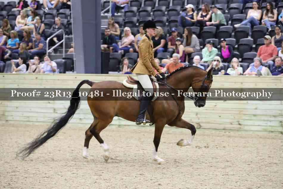 Proof 23R13_10481