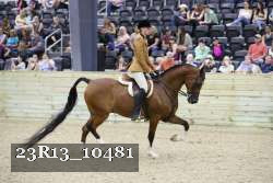 23R13_10481 proof