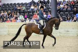 23R13_10482 proof