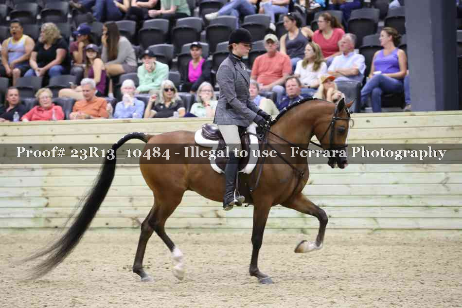 Proof 23R13_10484