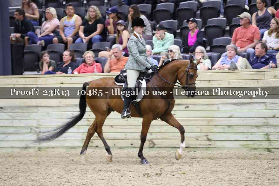 Proof 23R13_10485