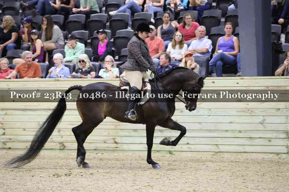 Proof 23R13_10486
