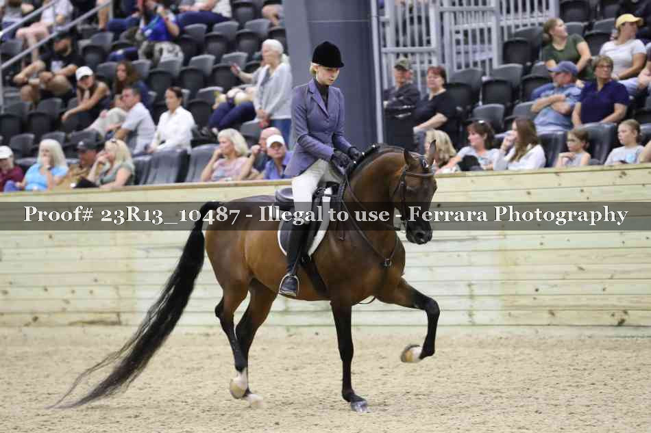 Proof 23R13_10487