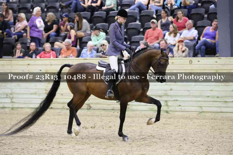 Proof 23R13_10488