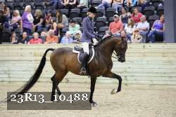 23R13_10488 proof