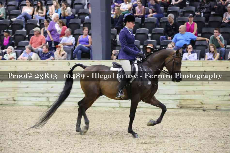 Proof 23R13_10489