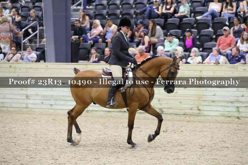Proof 23R13_10490