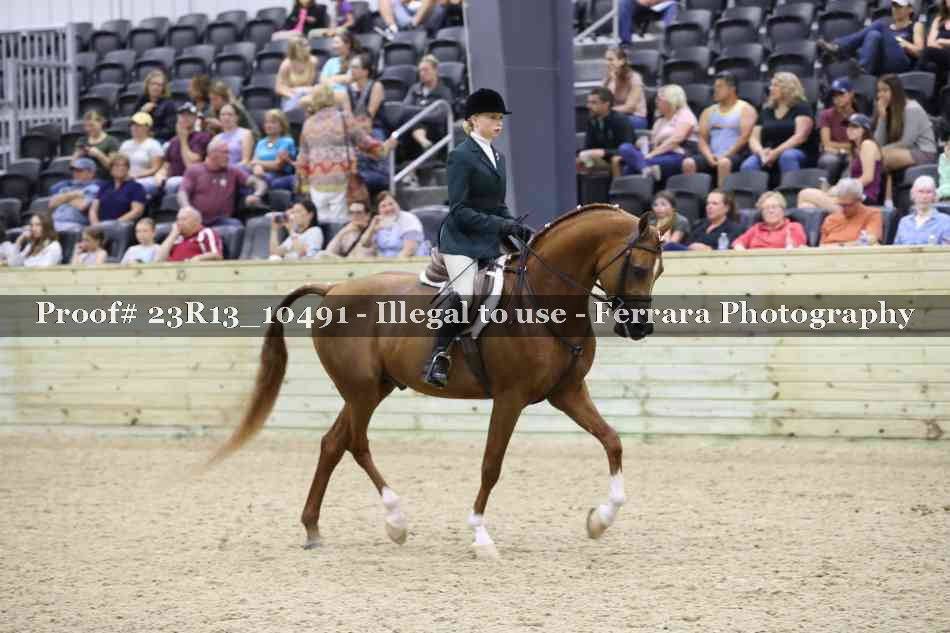 Proof 23R13_10491