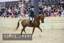 23R13_10491 proof
