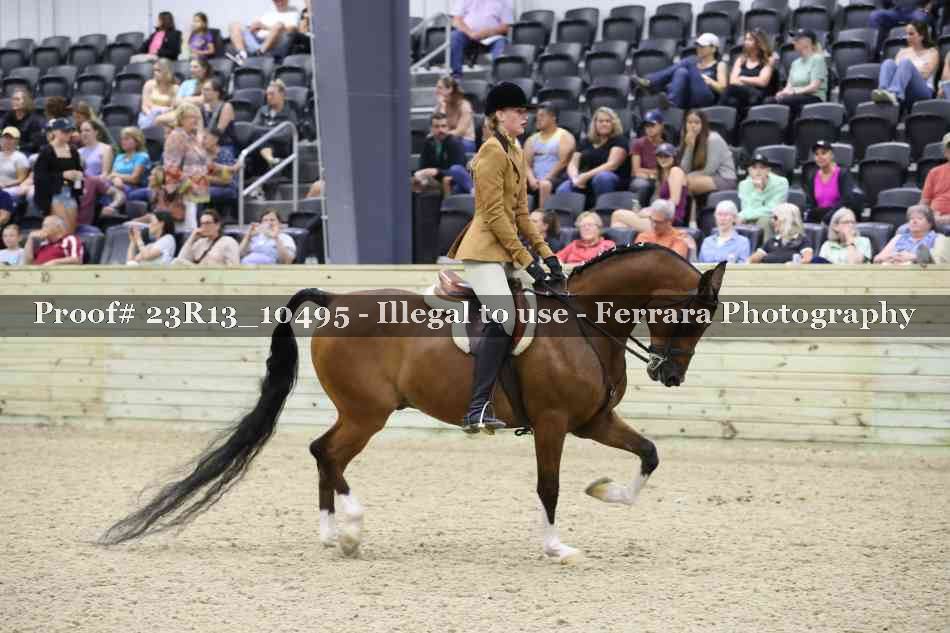 Proof 23R13_10495