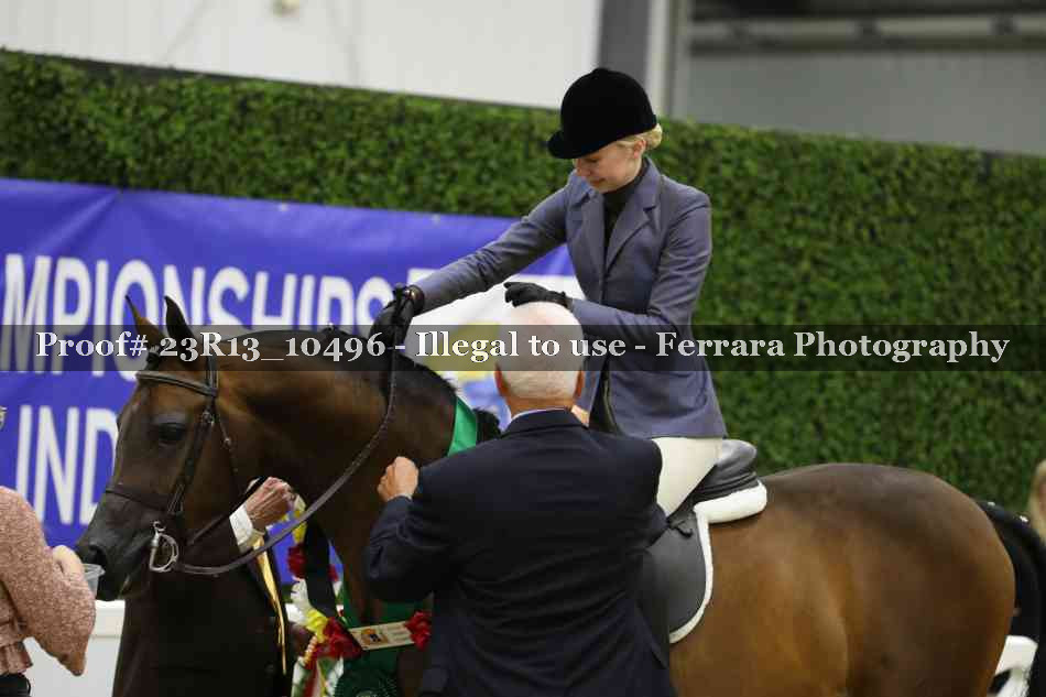 Proof 23R13_10496